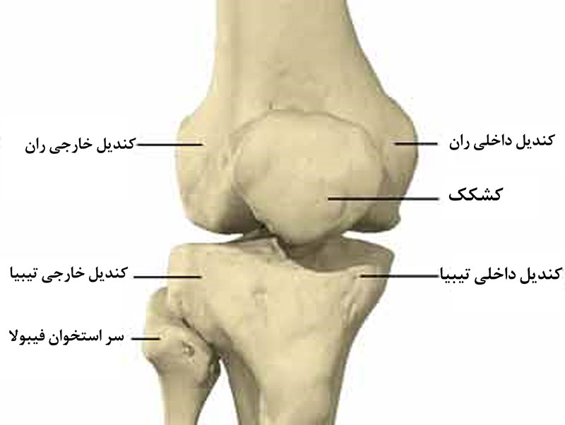 پیوند استخوان در مطب دکتر علی عندلیب